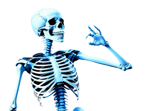 skeletal,skeleltt,calcium,vintage skeleton,human skeleton,skeletal structure,skeleton,medical radiography,skeleton hand,skeletons,bone,radiography,bones,danse macabre,day of the dead skeleton,radiology,medical imaging,bowl bones,anatomy,xray,Conceptual Art,Sci-Fi,Sci-Fi 19