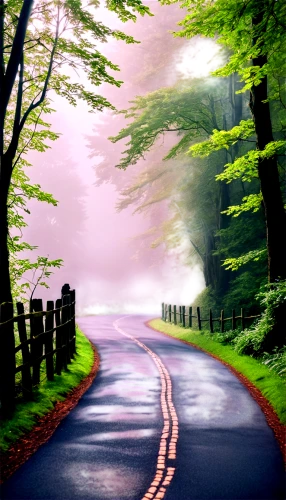 forest road,country road,mountain road,road,the road,winding road,foggy landscape,long road,winding roads,roads,road forgotten,open road,landscape background,empty road,straight ahead,the road to the sea,racing road,crossroad,tree lined lane,road to nowhere,Illustration,Black and White,Black and White 20