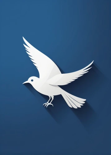 dove of peace,peace dove,doves of peace,twitter logo,white dove,love dove,white bird,lazio,paypal icon,fairy tern,dove,fujian white crane,bird png,white eagle,united states air force,rss icon,weather icon,royal tern,silver tern,wing blue white,Photography,Documentary Photography,Documentary Photography 34