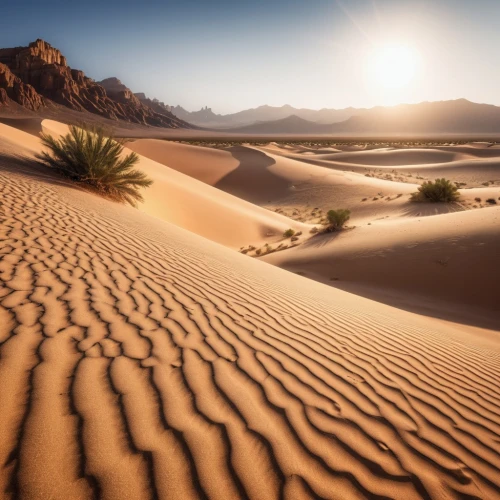 desert desert landscape,desert landscape,libyan desert,capture desert,the desert,desertification,desert plant,arid landscape,desert,sahara desert,desert background,desert plants,crescent dunes,dune landscape,dubai desert,stone desert,sand paths,sahara,sand dunes,admer dune,Photography,General,Realistic