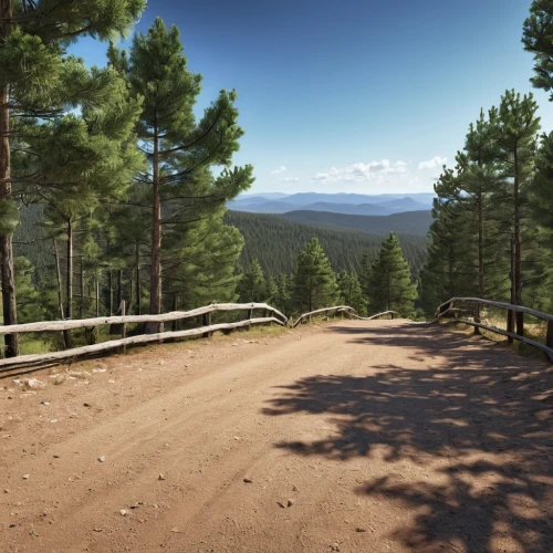 pikes peak highway,dirt road,mountain road,sunset crater,forest road,country road,alpine drive,mountain highway,pine forest,coniferous forest,open road,temperate coniferous forest,street canyon,fork road,high desert,empty road,winding road,pine trees,the road,hwy 191 at flaming gorge,Photography,General,Realistic