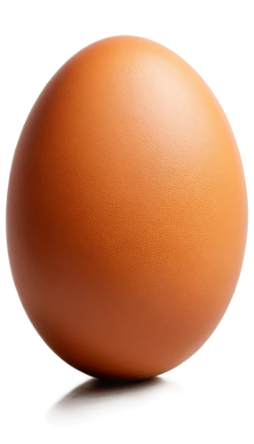 large egg,egg,brown egg,chicken egg,organic egg,bisected egg,egg shell,eggshell,hen's egg,soy egg,painted eggshell,chicken eggs,goose eggs,cracked egg,golden egg,bird's egg,brown eggs,robin egg,egg shells,boiled egg,Illustration,Black and White,Black and White 17