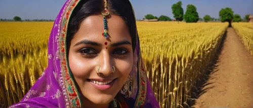 barley cultivation,wheat crops,field cultivation,indian woman,khorasan wheat,cereal cultivation,farm background,indian girl,kamini,field of cereals,rice cultivation,sarapatel,dal,agriculture,basmati,chetna sabharwal,cultivated field,rajasthan,agricultural,rice seeds,Illustration,Black and White,Black and White 20