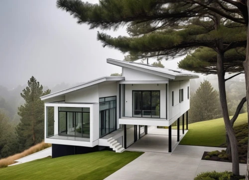 modern house,cubic house,mid century house,cube house,inverted cottage,modern architecture,frame house,smart house,dunes house,house shape,house in the forest,timber house,mirror house,house in the mountains,house in mountains,folding roof,grass roof,prefabricated buildings,residential house,archidaily,Photography,General,Realistic