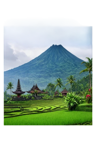 indonesia,bali,east java,ubud,landscape background,rice terrace,mount agung,balinese,pura mandara giri semeru agung,semeru,rice fields,padang,indonesia idr perak,indonesian,ricefield,rice field,rice paddies,lombok,borobodur,north sumatra,Photography,Black and white photography,Black and White Photography 13