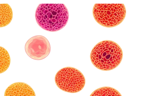 trypophobia,cell structure,pollen warehousing,eggs,fruit pattern,pollen,colorful eggs,spores,blood cells,cells,coral-spot,cellular,dot,orbeez,bee eggs,embryo,spots,dot background,jelly fruit,dot pattern,Illustration,Retro,Retro 04