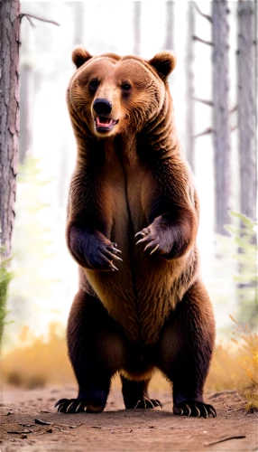 cute bear,nordic bear,brown bear,bear,cuddling bear,bear guardian,bear market,scandia bear,brown bears,bear bow,sun bear,great bear,bear cub,bear teddy,slothbear,grizzly bear,bears,little bear,bear kamchatka,cub,Art,Artistic Painting,Artistic Painting 25