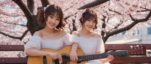 guitar,cherry blossom,takato cherry blossoms,concert guitar,the cherry blossoms,cherry blossoms,acoustic guitar,guitar player,classical guitar,cold cherry blossoms,cherry trees,cheery-blossom,playing the guitar,telecaster,cherry blossom festival,acoustic-electric guitar,sakura flowers,japanese sakura background,two girls,epiphone,Conceptual Art,Daily,Daily 26