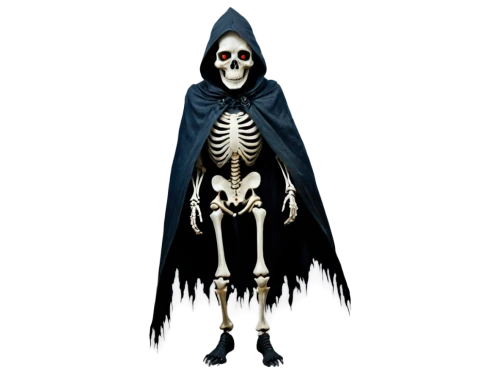 skeleltt,skeletal,skeleton,human skeleton,grim reaper,skeletons,halloween vector character,grimm reaper,vintage skeleton,png transparent,skeletal structure,vanitas,skull bones,png image,day of the dead skeleton,scull,halloween banner,bone,undead warlock,my clipart,Illustration,Realistic Fantasy,Realistic Fantasy 32