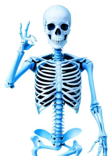 skeletal,calcium,skeleltt,human skeleton,skeleton,vintage skeleton,bone,skeletal structure,skeletons,skeleton hand,medical radiography,bones,day of the dead skeleton,radiography,bowl bones,radiology,die,endoskeleton,skull bones,xray,Conceptual Art,Oil color,Oil Color 02