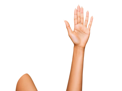 raised hands,hands up,arms outstretched,raise hand,woman hands,clapping,reach out,girl on a white background,woman pointing,praying hands,female hand,waving,high five,hand gesture,hand sign,png transparent,waiving,folded hands,align fingers,touch screen hand,Photography,Fashion Photography,Fashion Photography 06