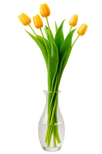 flowers png,yellow tulips,yellow orange tulip,tulip white,tulip bouquet,tulip background,tulipa,tulip flowers,two tulips,orange tulips,tulips,flower vases,turkestan tulip,freesias,tulipa tarda,tulpenbüten,flower vase,white tulips,jonquils,tulip,Illustration,Paper based,Paper Based 14