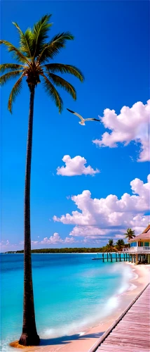 beach landscape,caribbean beach,tropical beach,palm tree,dream beach,balearic islands,beach scenery,beautiful beach,caribbean sea,the caribbean,caribbean,tropical sea,paradise beach,tropical island,djerba,mauritius,bahamas,cuba beach,landscape background,palmtree,Photography,Artistic Photography,Artistic Photography 15