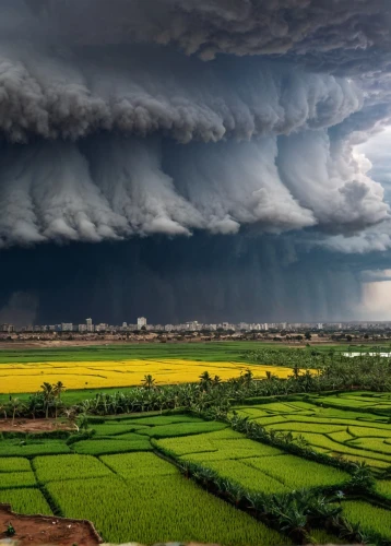 shelf cloud,chinese clouds,a thunderstorm cell,monsoon,thunderclouds,cumulonimbus,cloud formation,swelling cloud,monsoon banner,storm clouds,natural phenomenon,meteorological phenomenon,vietnam,nature's wrath,landscape photography,rice fields,swelling clouds,raincloud,viet nam,thundercloud,Photography,General,Natural