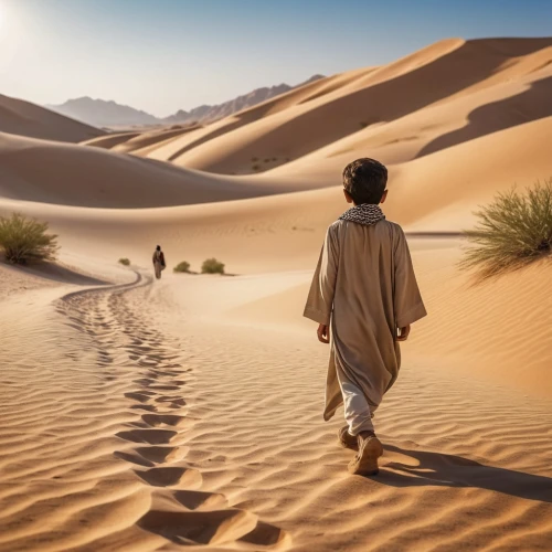 libyan desert,capture desert,sahara desert,middle eastern monk,desertification,desert landscape,desert desert landscape,the gobi desert,sand road,sahara,united arab emirates,afar tribe,admer dune,merzouga,bedouin,the desert,gobi desert,dubai desert,sand paths,hoggar,Photography,General,Realistic