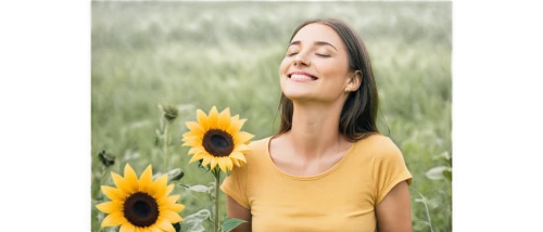 sunflower lace background,naturopathy,cottonseed oil,flower background,arnica,helianthus sunbelievable,girl in flowers,woodland sunflower,castor oil,helianthus,web banner,flowers png,rice bran oil,floral greeting card,sunflowers,homeopathically,wheat germ oil,sunflower field,self hypnosis,sun flowers,Conceptual Art,Daily,Daily 34