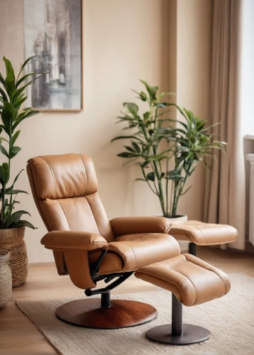 barber chair,massage chair,mid century modern,chaise lounge,seating furniture,danish furniture,chaise longue,recliner,wing chair,mid century,office chair,chaise,club chair,ficus,armchair,contemporary decor,modern decor,tailor seat,seat,salon,Unique,3D,Panoramic