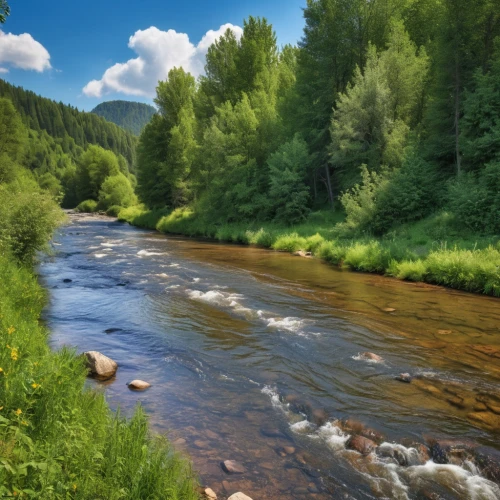 mountain river,mountain stream,flowing creek,river landscape,clear stream,carpathians,raven river,a river,river cooter,vail,northern black forest,temperate coniferous forest,the vishera river,background view nature,aspen,upper water,slowinski national park,telluride,pieniny,streams,Photography,General,Realistic