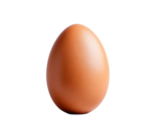 egg,chicken egg,large egg,brown egg,bisected egg,egg shell,soy egg,eggshell,hen's egg,organic egg,egg shaker,boiled egg,painted eggshell,chicken eggs,egg shells,eggs,cracked egg,egg face,goose eggs,egg cooked,Photography,Documentary Photography,Documentary Photography 24