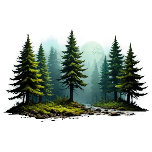 forest background,coniferous forest,forests,forest landscape,spruce forest,landscape background,spruce-fir forest,fir forest,pine trees,the forests,temperate coniferous forest,birch tree background,birch tree illustration,forest,background vector,trees,forest tree,foggy forest,the forest,spruce trees,Photography,General,Fantasy