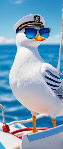 skipper,seagull,sea-gull,birds of the sea,sea bird,seagulls birds,glasses penguin,indian sea gull,sea gull,water police,peck s skipper,the sandpiper general,seagulls,sea birds,cape gull,seabird,sea swallow,bird png,seagulls flock,seaduck,Illustration,Japanese style,Japanese Style 01