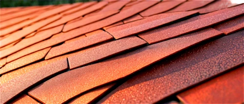 roof tiles,roof tile,tiled roof,clay tile,roof plate,slate roof,roof panels,roofing,terracotta tiles,roof landscape,turf roof,shingles,red roof,house roof,roofing work,house roofs,metal roof,roofline,the old roof,roofing nails,Art,Artistic Painting,Artistic Painting 27