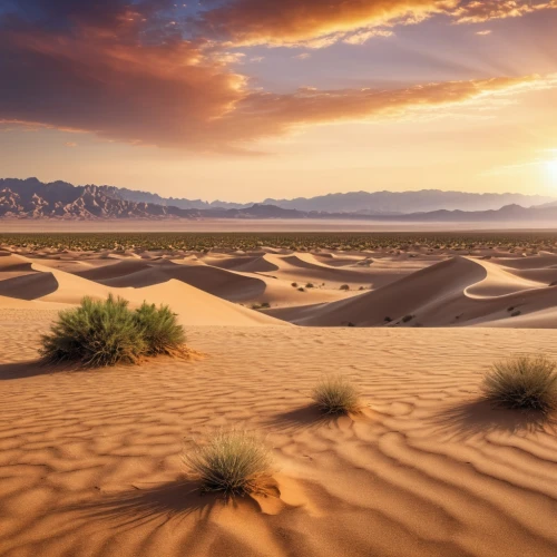 desert desert landscape,desert landscape,capture desert,libyan desert,the desert,desert background,desertification,arid landscape,gobi desert,desert,dubai desert,sahara desert,argentina desert,crescent dunes,the gobi desert,dune landscape,sand dunes,san dunes,stone desert,merzouga,Photography,General,Realistic