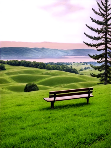 wooden bench,bench,outdoor bench,park bench,benches,landscape background,red bench,garden bench,background view nature,wood bench,green landscape,bench by the sea,man on a bench,stone bench,aaa,meadow landscape,bench chair,beautiful landscape,green space,chair in field,Illustration,Vector,Vector 12