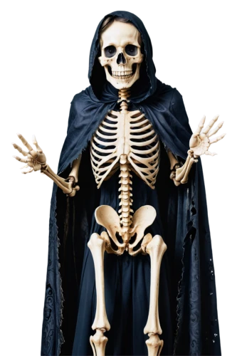 skeleltt,human skeleton,skeletal,skeleton,vintage skeleton,calcium,skeletal structure,skeletons,skull bones,bone,day of the dead skeleton,vanitas,danse macabre,bowl bones,fetus skull,wood skeleton,bones,skeleton hand,dance of death,scull,Conceptual Art,Fantasy,Fantasy 27