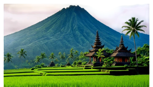 indonesia,bali,ubud,landscape background,travel poster,east java,background vector,rice fields,ricefield,rice field,rice terrace,the rice field,balinese,rice paddies,lombok,samoa,borodundur,mayon,padang,indonesian,Illustration,Paper based,Paper Based 05