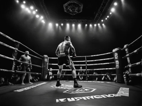 striking combat sports,lethwei,muay thai,professional boxing,combat sport,boxing,boxing ring,shoot boxing,chess boxing,amnat charoen,bruges fighters,kickboxing,connectcompetition,the hand of the boxer,siam fighter,boxing equipment,knockout punch,jeet kune do,mixed martial arts,kickboxer,Illustration,Abstract Fantasy,Abstract Fantasy 01
