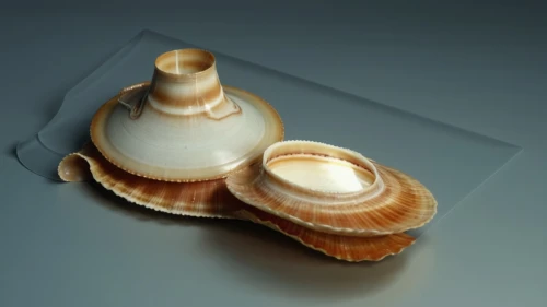 sea shell,isolated product image,wooden spinning top,shell,shells,in shells,blue sea shell pattern,conch shell,sake set,3d model,bivalve,tableware,3d object,clam shell,snail shell,scallop,ceramic,spiny sea shell,seashell,tiropita,Photography,General,Realistic