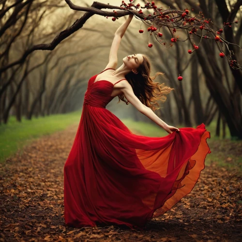 ballerina in the woods,gracefulness,love dance,red gown,red tree,dancer,dance,ballet dancer,arms outstretched,dance with canvases,red cape,flamenco,man in red dress,red petals,lady in red,graceful,ballet master,passion photography,conceptual photography,ballet,Photography,Artistic Photography,Artistic Photography 14