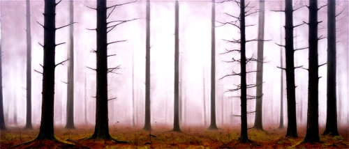 foggy forest,forest background,ghost forest,forest landscape,pine forest,fir forest,coniferous forest,row of trees,forest,haunted forest,mixed forest,cartoon forest,forest dark,forests,the forest,deciduous forest,pine trees,copse,the forests,trees,Art,Artistic Painting,Artistic Painting 46
