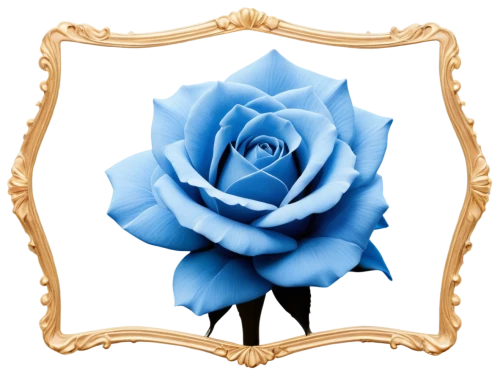 blue rose,rose png,frame rose,rose frame,blue moon rose,rose flower illustration,blue rose near rail,roses frame,bicolored rose,blue flower,blue leaf frame,flowers png,disney rose,flower rose,flower frame,floral silhouette frame,peony frame,porcelain rose,rose flower,frame flora,Illustration,Vector,Vector 05