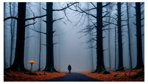 foggy forest,haunted forest,forest walk,forest path,dense fog,germany forest,photomanipulation,foggy landscape,forest background,solitude,autumn fog,the path,forest road,to be alone,hollow way,the mystical path,conceptual photography,loneliness,photoshop manipulation,sleepwalker,Illustration,Children,Children 03