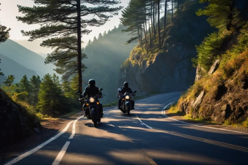 motorcycle tours,motorcycle tour,motorcycling,motorcycles,mountain highway,steep mountain pass,alpine route,motorcyclist,mountain pass,open road,black motorcycle,ride out,family motorcycle,mountaineers,the transfagarasan,mountain road,motorcycle accessories,motorcycle racing,the road,transfagarasan,Illustration,Realistic Fantasy,Realistic Fantasy 33