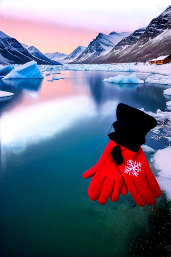 antarctic flora,baffin island,greenland,tulip on snow,antarctic,formal gloves,arctic antarctica,antartica,antarctica,red hat,winter background,yukon territory,red poppy,red cap,frozen lake,evening glove,snow landscape,red coat,red petals,remembrance day,Conceptual Art,Fantasy,Fantasy 20
