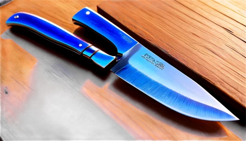 knife kitchen,hunting knife,kitchenknife,table knife,kitchen knife,hauhechel blue,colorpoint shorthair,bowie knife,serrated blade,utility knife,pocket knife,mandarin wedge,sharp knife,beginning knife,knife,rebate plane,acmon blue,blue tiger,knives,mazarine blue,Illustration,Realistic Fantasy,Realistic Fantasy 20