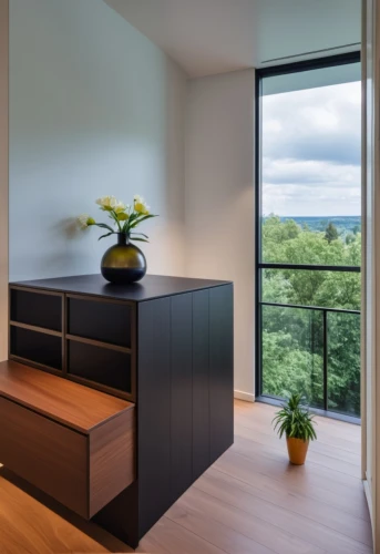dark cabinetry,cabinetry,sideboard,modern room,writing desk,room divider,wooden windows,smart home,modern decor,one-room,tv cabinet,chest of drawers,contemporary decor,storage cabinet,wood window,sky apartment,wooden shelf,dresser,shared apartment,corten steel,Photography,General,Realistic
