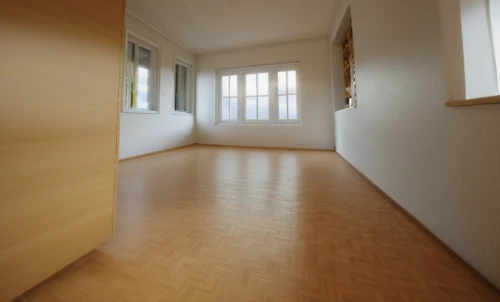 laminate flooring,hardwood floors,hallway space,flooring,wooden floor,wood floor,wood flooring,empty room,parquet,danish room,tile flooring,new apartment,large space,home interior,apartment,walk-in closet,floor,modern room,an apartment,one-room,Photography,General,Realistic