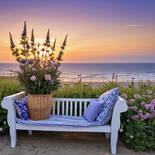 bench by the sea,beach furniture,outdoor bench,outdoor furniture,garden bench,cape cod,patio furniture,garden furniture,deckchair,beach chair,deck chair,wooden bench,beach chairs,beach moonflower,seaside view,seaside country,white picket fence,beach landscape,porch swing,chaise lounge,Photography,General,Realistic