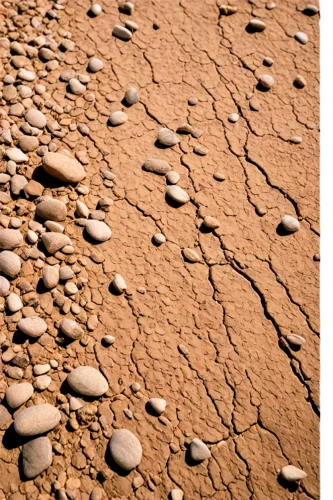 stone desert,soil erosion,balanced pebbles,arid landscape,arid,gravel,background with stones,gravel stones,sandstones,smooth stones,footprints,sandstone,rock erosion,sand texture,arid land,stream bed,gobi desert,sand paths,stone pattern,desertification,Conceptual Art,Daily,Daily 04