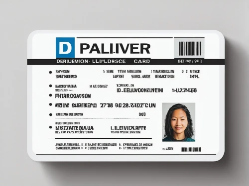 identity document,a plastic card,palmier,palitaw,plasterer,licenses,celebration pass,name tag,plaster,pall-bearer,isolated product image,licence,palomino,patterned labels,p badge,pallet pulpwood,pullover,pla,paper product,palmiers,Conceptual Art,Fantasy,Fantasy 08