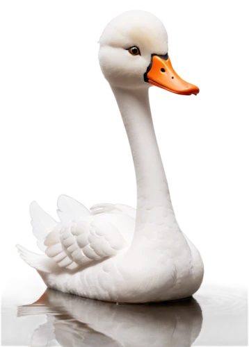 gooseander,cayuga duck,snow goose,cygnet,tundra swan,swan,goose,ornamental duck,trumpeter swan,swan cub,brahminy duck,greylag goose,white swan,nile goose,swan boat,the head of the swan,young swan,duck,female duck,young goose,Unique,3D,Clay