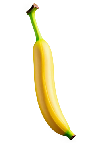banana,monkey banana,saba banana,banana peel,bananas,nanas,banana cue,banana plant,ripe bananas,banana apple,dolphin bananas,banana tree,superfruit,banana dolphin,banana family,schisandraceae,a vegetable,semi-ripe,png image,banana bread,Conceptual Art,Sci-Fi,Sci-Fi 29