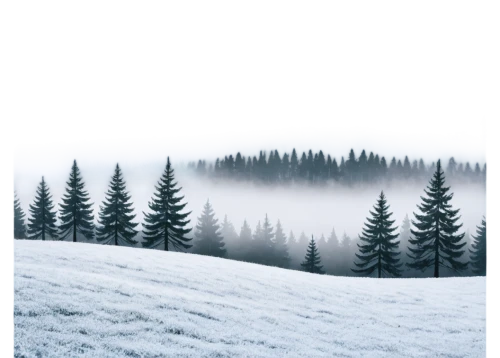winter background,snowflake background,christmas snowy background,snow landscape,coniferous forest,snowy landscape,temperate coniferous forest,northern black forest,birch tree background,snow trees,snow in pine trees,winter forest,winter landscape,spruce-fir forest,fir forest,spruce trees,alpine meadows,snowfield,fir trees,carpathians,Illustration,Japanese style,Japanese Style 09