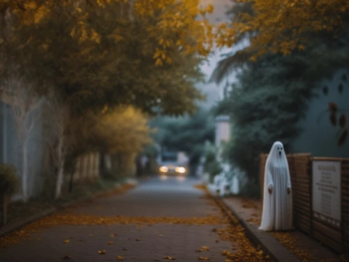 alley,old linden alley,autumn walk,girl walking away,sidewalk,alleyway,late autumn,autumn background,the autumn,narrow street,background bokeh,tree lined lane,depth of field,autumn scenery,one autumn afternoon,outdoor street light,streetlight,bokeh effect,autumn mood,street lights,Photography,General,Cinematic
