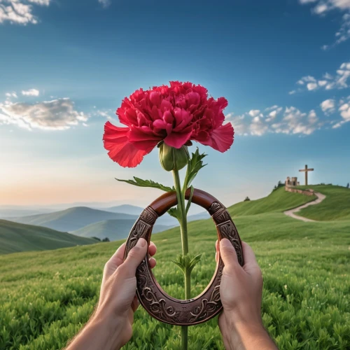 il giglio,flower background,flower crown of christ,flowers png,flower of the passion,landscape rose,way of the roses,flowers in basket,flower arrangement lying,flowers in wheel barrel,culture rose,flower arranging,flower basket,floral greeting,globe flower,blooming wreath,holding flowers,flower arrangement,single flower,landscape background,Photography,General,Realistic