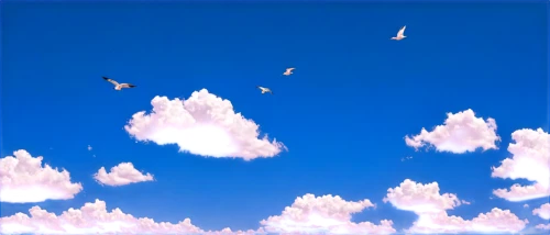 sky,clouds - sky,blue sky clouds,bird in the sky,sky clouds,blue sky and clouds,flying birds,birds flying,blue sky and white clouds,summer sky,sky butterfly,cloud play,blue sky,cumulus,skyscape,birds in flight,clouds,white clouds,clouds sky,cloud image,Illustration,Japanese style,Japanese Style 13